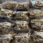 Golden Teacher Mushroom (1/2Oz ) - Image 4