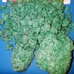 MDMA 10G – GREEN