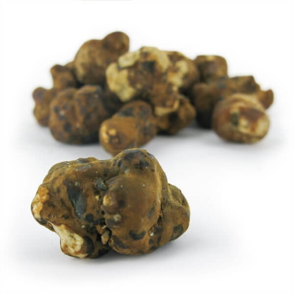 Buy-Mexicana-Magic-Truffles-UK.jpg Mexicana Magic Truffles - Image 1