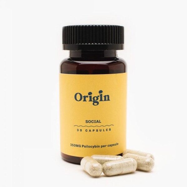Buy-Social-Capsules-Mushroom-.jpeg Social Capsules-Origin Mushroom - Image 1
