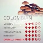 Order Colombian Mushroom (Psilocybe cubensis 1/2 oz) | Psychedelics Store Europe