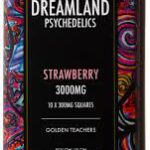 Dreamland Psychedelics Mushroom Chocolate