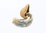 Blue Goba Magic Mushroom For Sale - Image 2