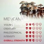 Mexicana Mushroom (1/2Oz)