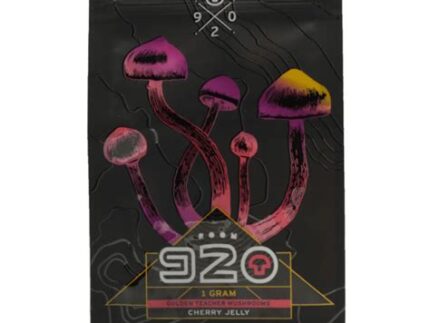 Cherry Mushroom Jelly by Room 920