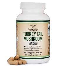 Buy Turkey Tail Extract (120 Capsules) | Immune Support UK & EU