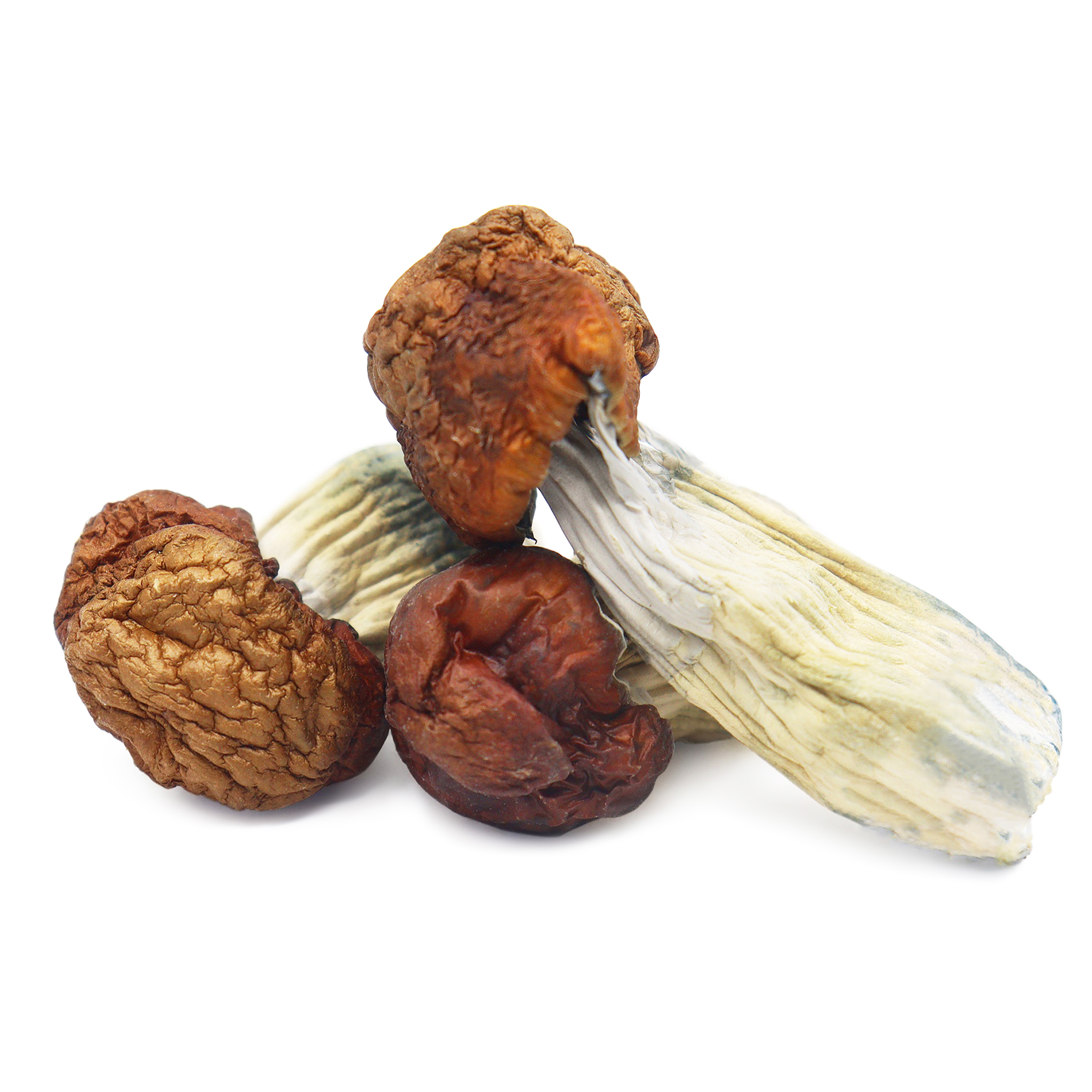 blue-pulaski-magic-mushrooms.jpg Blue Pulaski Magic Mushrooms - Image 1