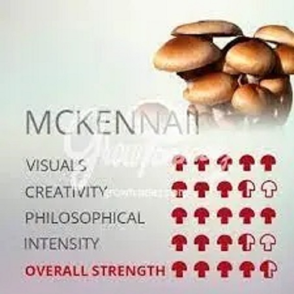 mckennaii-mushroom-250.jpg Mckennaii Mushroom(1/2oz) - Image 1